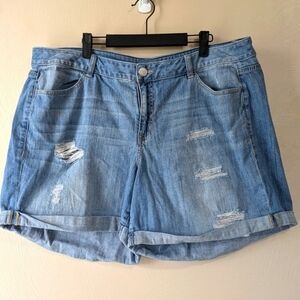 LANE BRYANT Jean Shorts, Size 18, Weekend Shorts, Distressed